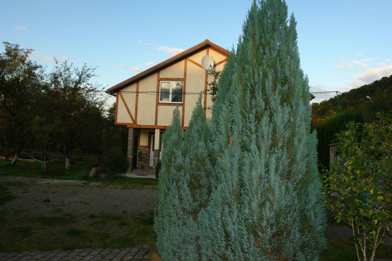 Zelena Sadyba Bila Stavka Yaremche Exterior foto